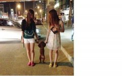 你们考虑过汪的感受吗?