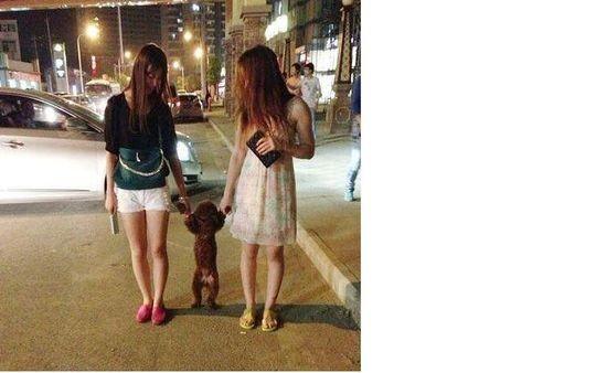 你们考虑过汪的感受吗?