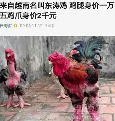 这是变异过得鸡吗