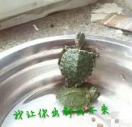 刚好就  这样吧