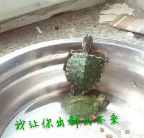 刚好就  这样吧