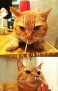 吝啬鬼 罕见请客