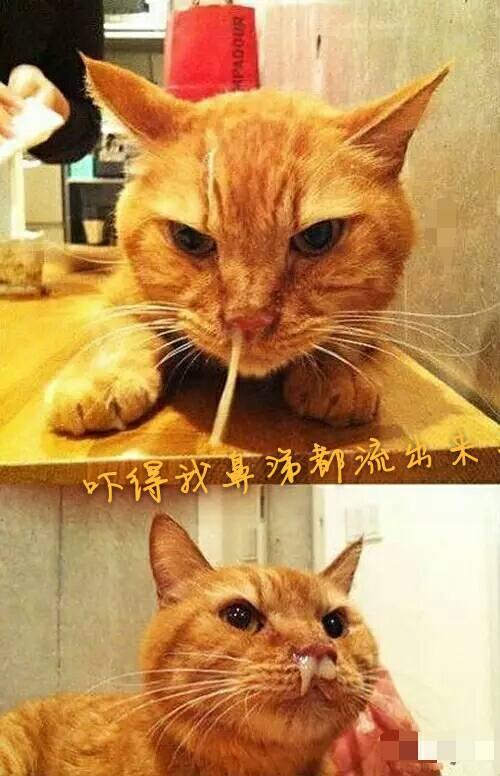 吝啬鬼 罕见请客