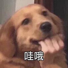 “你想看大胸穿JK的样子吗?”和女友深夜聊骚,把我拳头看硬了… “你想看大胸穿JK的样子吗?”和女友深夜聊骚,把我拳头看硬了…