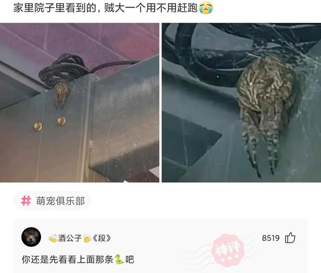 神回复:泰国人防疫真的很认真啊!但对不起,我真的没忍住笑抽了 神回复:泰国人防疫真的很认真啊!但对不起,我真的没忍住笑抽了