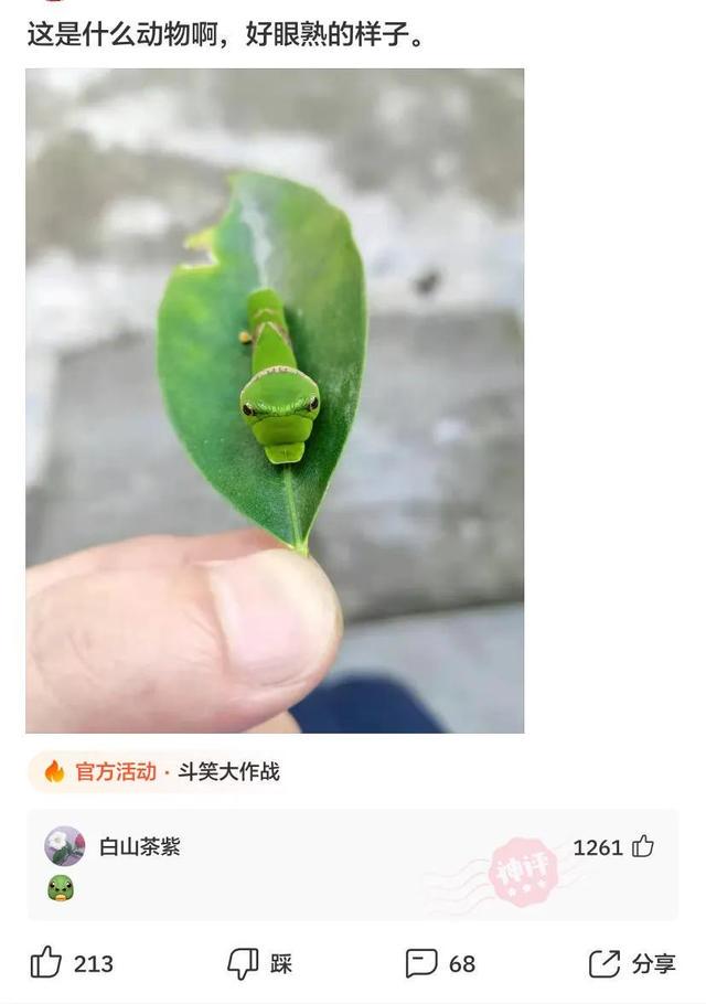 神回复:泰国人防疫真的很认真啊!但对不起,我真的没忍住笑抽了 神回复:泰国人防疫真的很认真啊!但对不起,我真的没忍住笑抽了