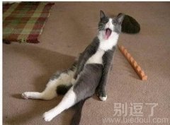 下次进门前记得敲门啊，坟蛋