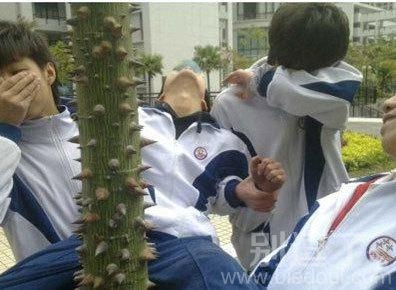 你是否也这样对待过你的小伙伴？