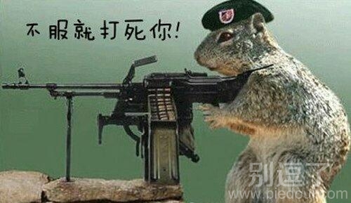 不服就打死你!! 不服就打死你!!