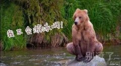 不会游泳的动物。。 不会游泳的动物。。