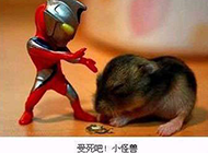 奥特曼打小怪兽!! 奥特曼打小怪兽!!