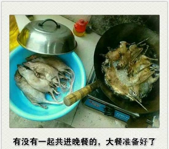 有没有一起共进晚餐的 有没有一起共进晚餐的