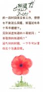 想想也不能这么闲着 想想也不能这么闲着