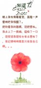 说实话我现在也有点害怕了