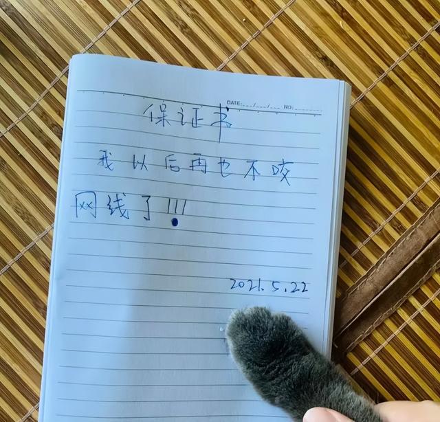 神回复:来来来试一试 神回复:来来来试一试