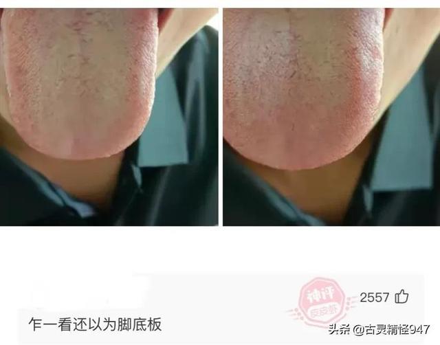 搞笑神评合集:带着一个W穿越到八十年代我会成为万元户吗? 搞笑神评合集:带着一个W穿越到八十年代我会成为万元户吗?