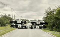 天网恢恢，看你怎么过