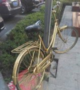 土豪金单车