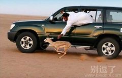 小鹿快跑，急支糖浆呢？