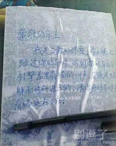 她的字和她的人品一样,太漂亮了 她的字和她的人品一样,太漂亮了