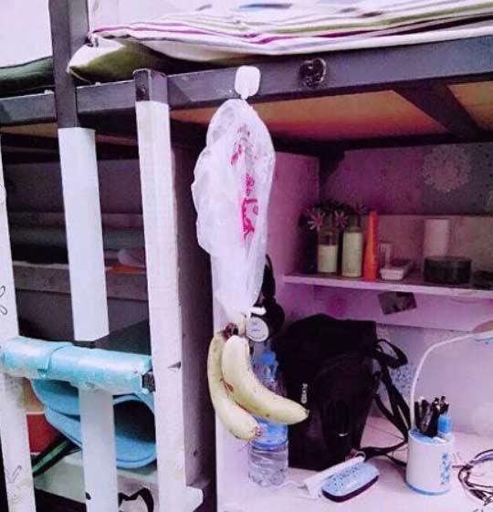 香蕉觉得，它还在树上