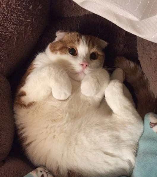 想偷拍这货的睡相，结果。。。