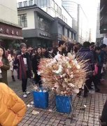 在北方街边上的一角。