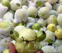 看我不把你吃掉! 看我不把你吃掉!