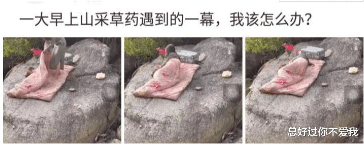 “酒店卫生间开始有这种椅子了?这设计用来干什么的?” “酒店卫生间开始有这种椅子了?这设计用来干什么的?”
