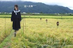 妹子,你千万别吓我 妹子,你千万别吓我