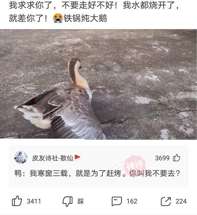 “在KTV工作的女孩最后都嫁给了谁?”神评太真实了!哈哈哈哈 “在KTV工作的女孩最后都嫁给了谁?”神评太真实了!哈哈哈哈