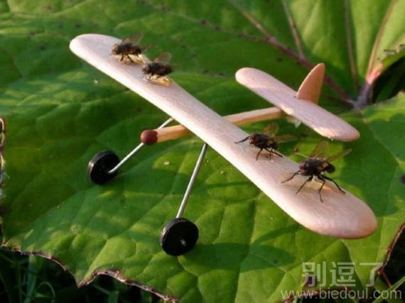 起飞喽,抓紧时间上机 起飞喽,抓紧时间上机