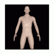 这又是哪个蛇精病做的图