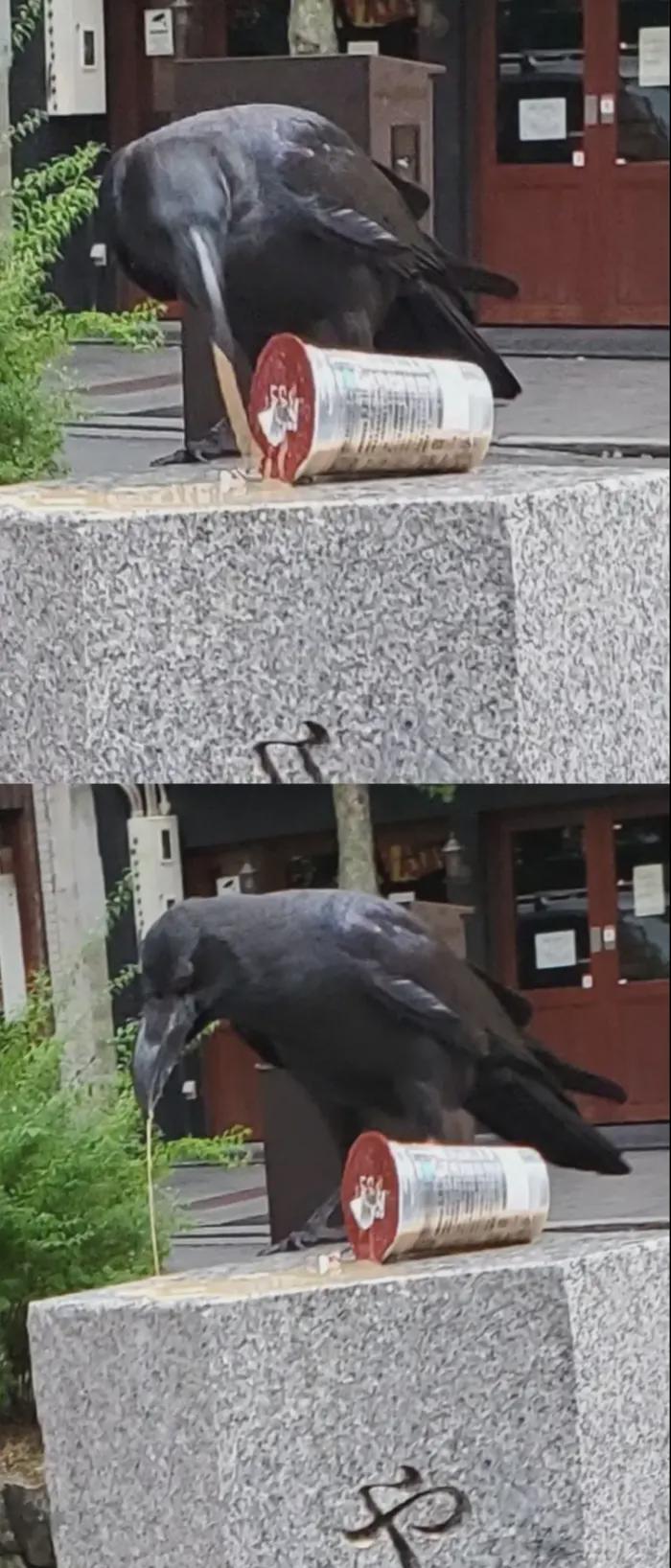 “陪女友去医院,医生从她体内取出来的...女友说是鱼钩?”哈哈哈~ “陪女友去医院,医生从她体内取出来的...女友说是鱼钩?”哈哈哈~