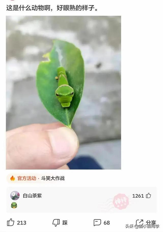 第一次住酒店这种情况怎么办?网友:每一刻都是现场直播!哈哈 第一次住酒店这种情况怎么办?网友:每一刻都是现场直播!哈哈