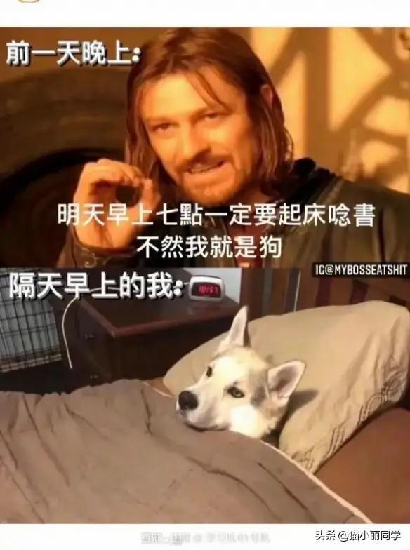 第一次住酒店这种情况怎么办?网友:每一刻都是现场直播!哈哈 第一次住酒店这种情况怎么办?网友:每一刻都是现场直播!哈哈