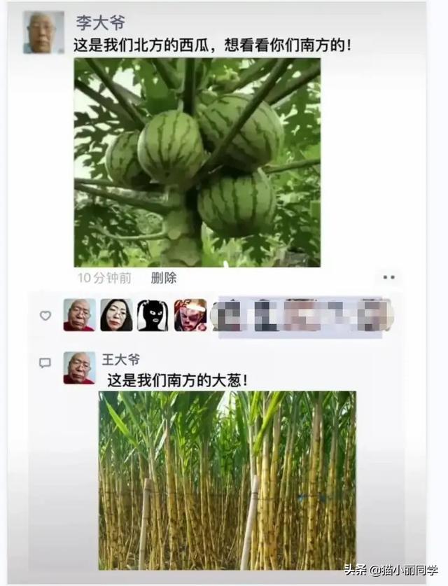 第一次住酒店这种情况怎么办?网友:每一刻都是现场直播!哈哈 第一次住酒店这种情况怎么办?网友:每一刻都是现场直播!哈哈