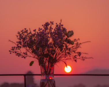 跟家人出去玩的朋友圈文案 跟家人一起出游的幸福语录 跟家人出去玩的朋友圈文案 跟家人一起出游的幸福语录