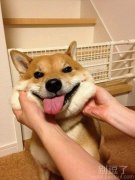 你怎么穿的跟QQ秀一样