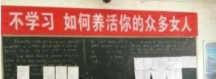 要努力了学习 要不如何养你的女人