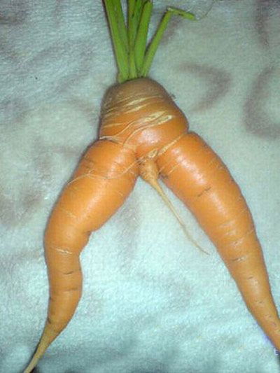 食物在生活中的趣图,让你乐呵呵。