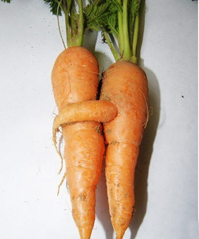 食物在生活中的趣图,让你乐呵呵。