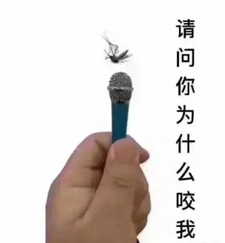 轻松一刻:公交车上这一幕,连大爷都老脸一红… 轻松一刻:公交车上这一幕,连大爷都老脸一红…