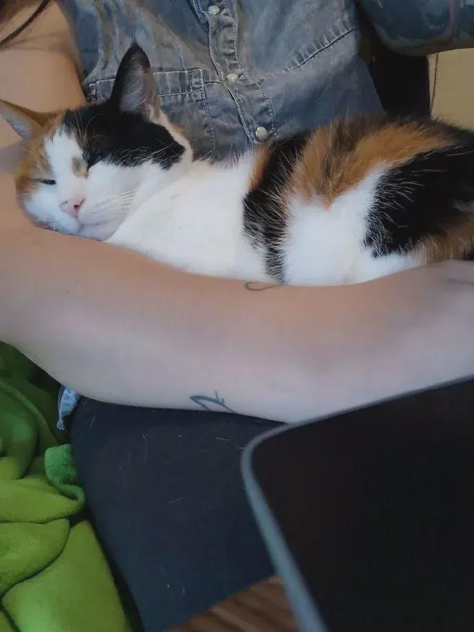 “房子隔音差是什么体验”网友：可以通过听声音还原现场哈哈哈哈