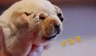 这奇葩的名字，家长咋想的