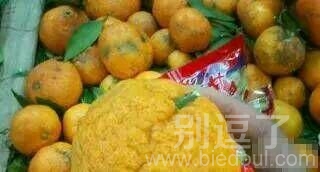 这个橘子智商一定很高 这个橘子智商一定很高