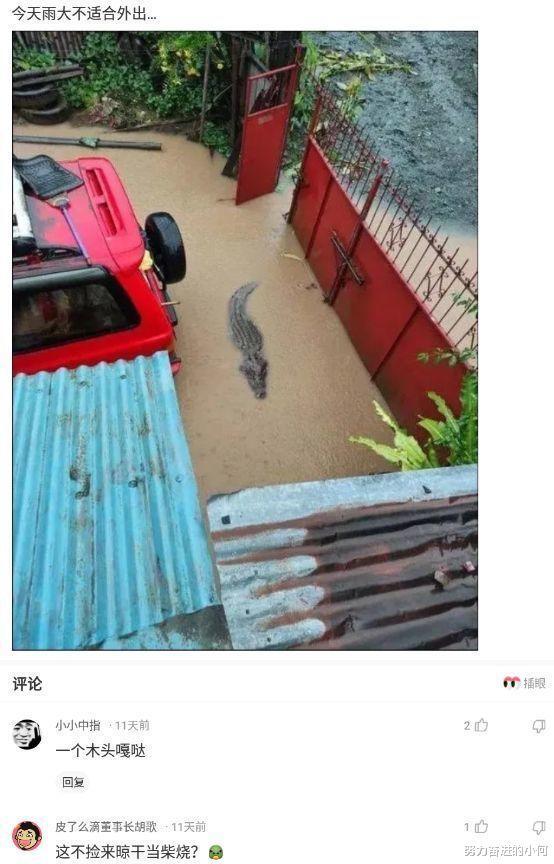 “这大概就是彩礼10万和20万的差别吧!”没对比就没伤害 “这大概就是彩礼10万和20万的差别吧!”没对比就没伤害