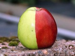 你想不想吃呢 你想不想吃呢