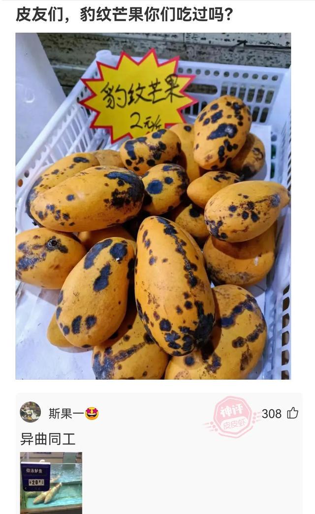 神回复:当你还在发着文艺的牢骚,她已经在享受荷尔蒙带来的快感 神回复:当你还在发着文艺的牢骚,她已经在享受荷尔蒙带来的快感