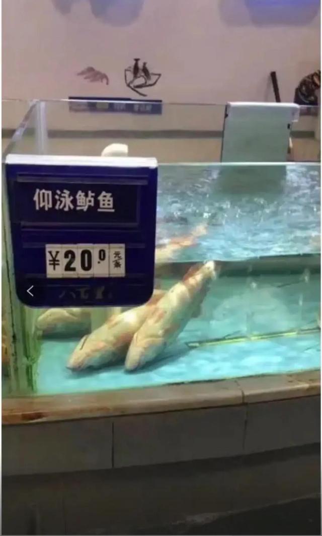 神回复:当你还在发着文艺的牢骚,她已经在享受荷尔蒙带来的快感 神回复:当你还在发着文艺的牢骚,她已经在享受荷尔蒙带来的快感